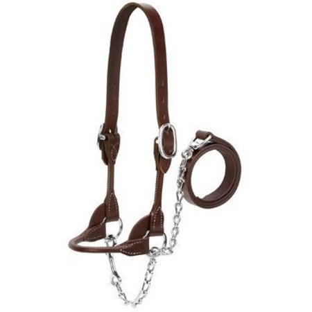 WEAVER LEATHER MED BRN Show Halter 90-0515